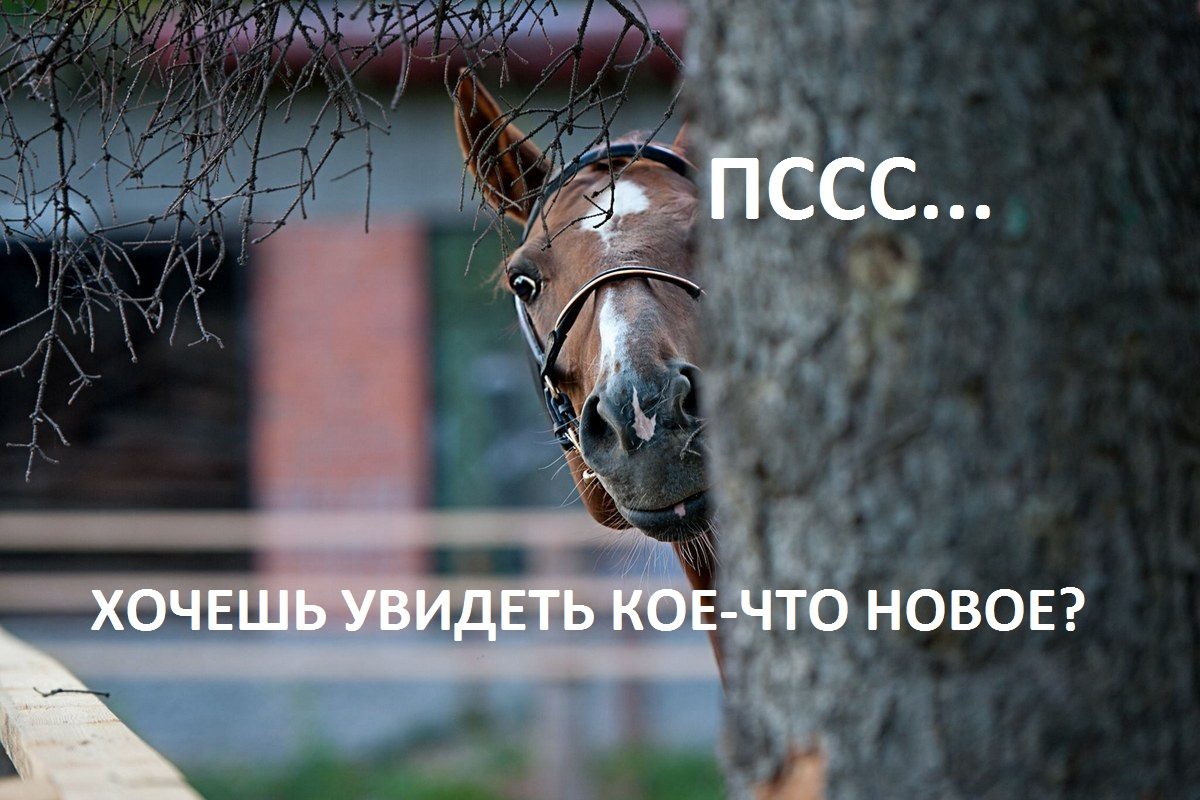 Новое в разделе деревообработки